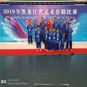 2019黑龙江武术套路比赛